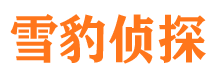 和平市婚姻出轨调查